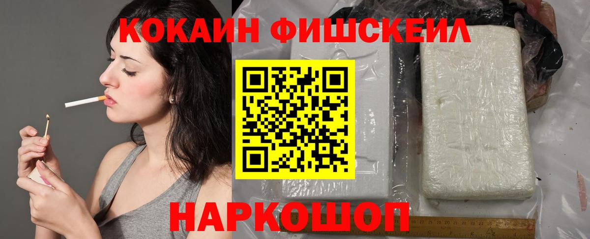 Губкин  Кокаин Fish Scale  COCAIN Columbia  Вход с VPN 