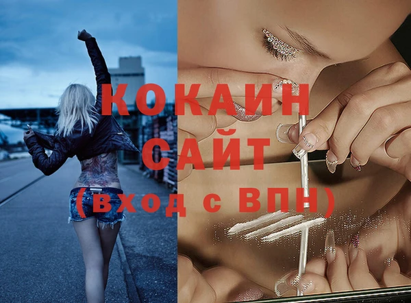 ешки Аркадак