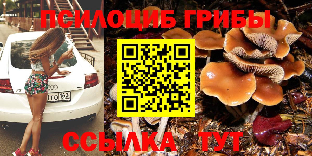 Галлюциногенные грибы прущие грибы Губкин