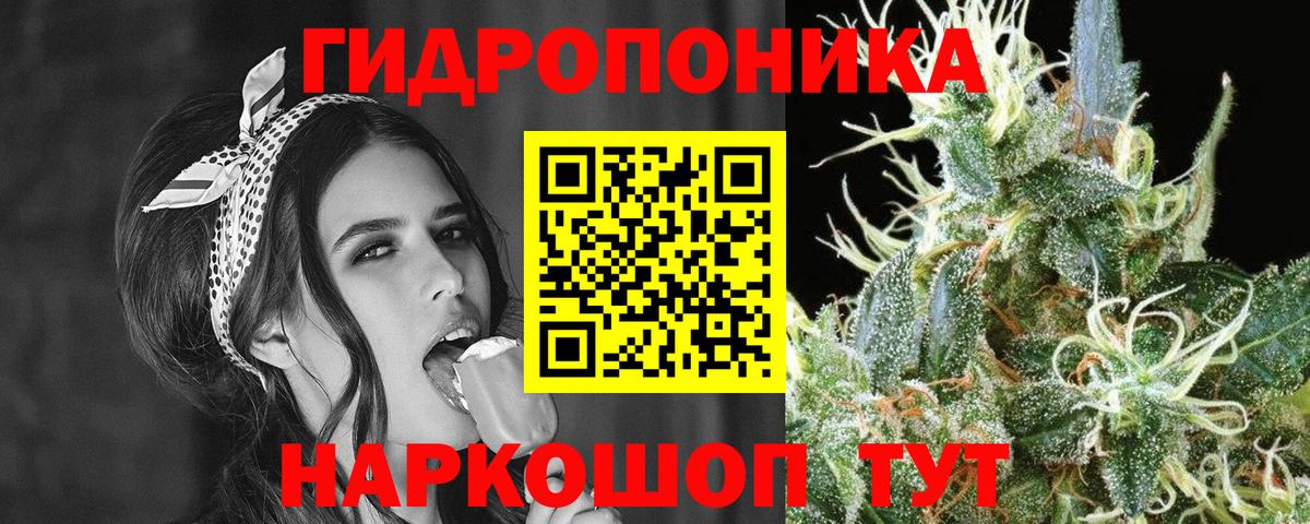 Бошки марихуана сатива  Вход с VPN  Губкин  Шишки марихуана семена  Шишки марихуана сатива  МАРИХУАНА ГИДРОПОН 